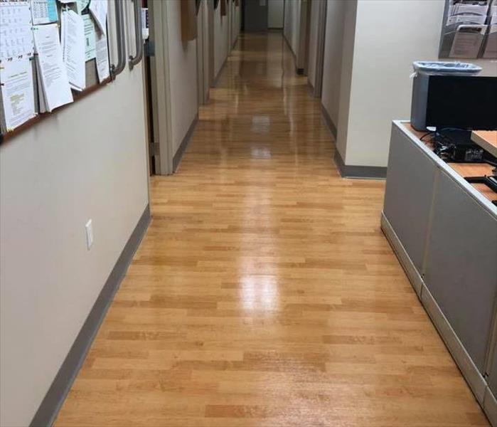 Clean shinny floors in an office hallway.