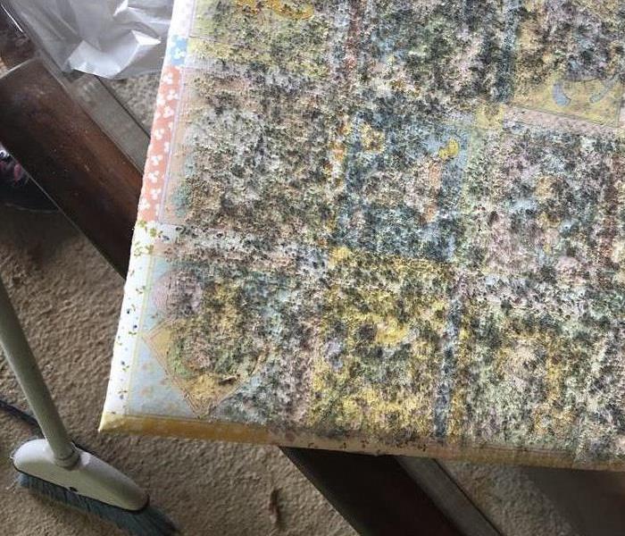 This photo album was affected by mold in the home.