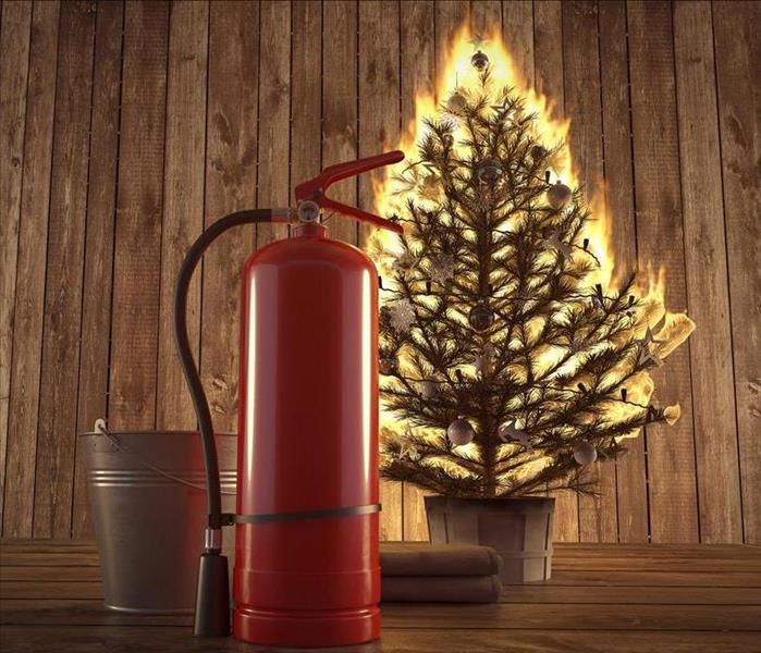 Keep your home protected from damaging Christmas tree fires.